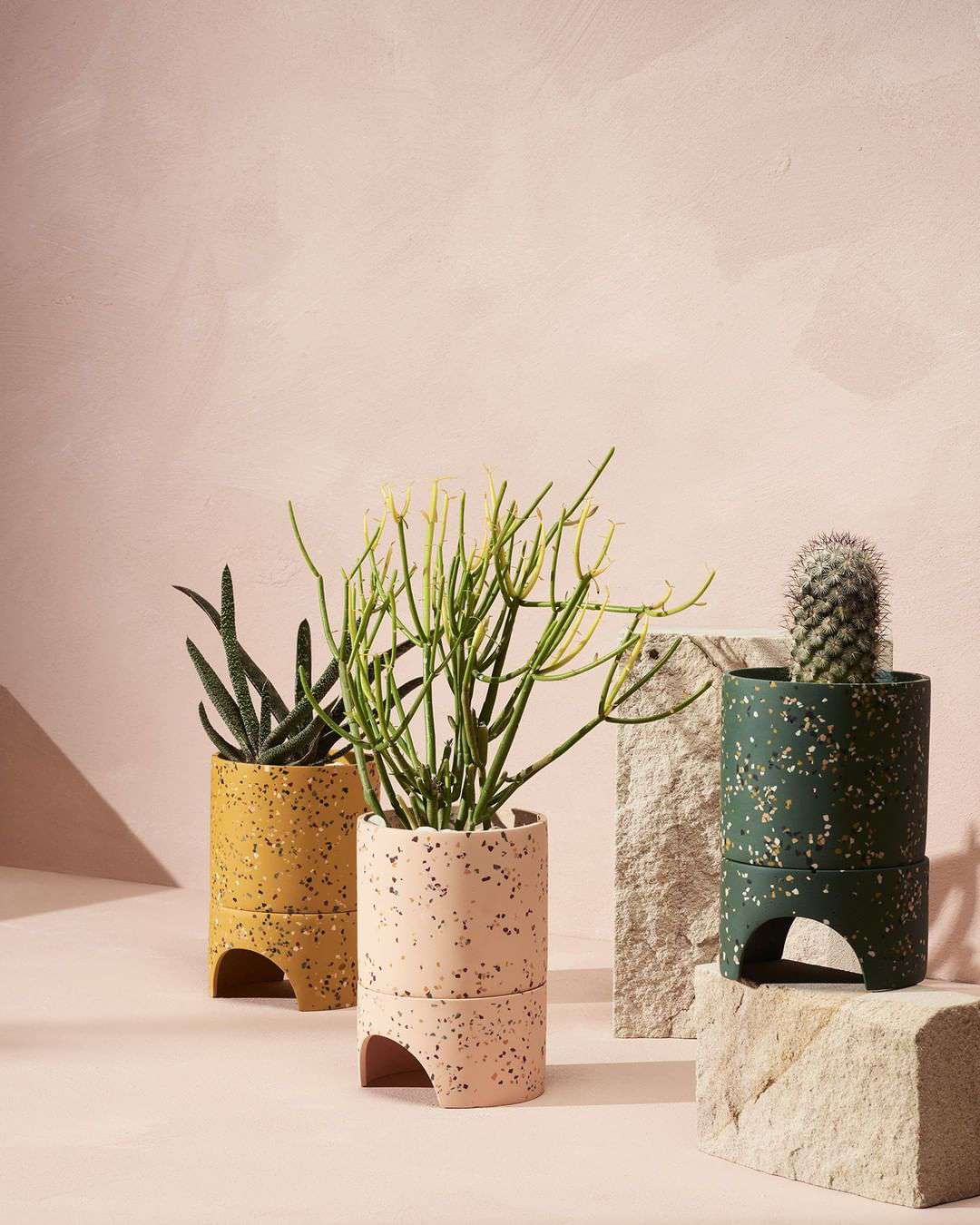 Terrazzo planters with cactus