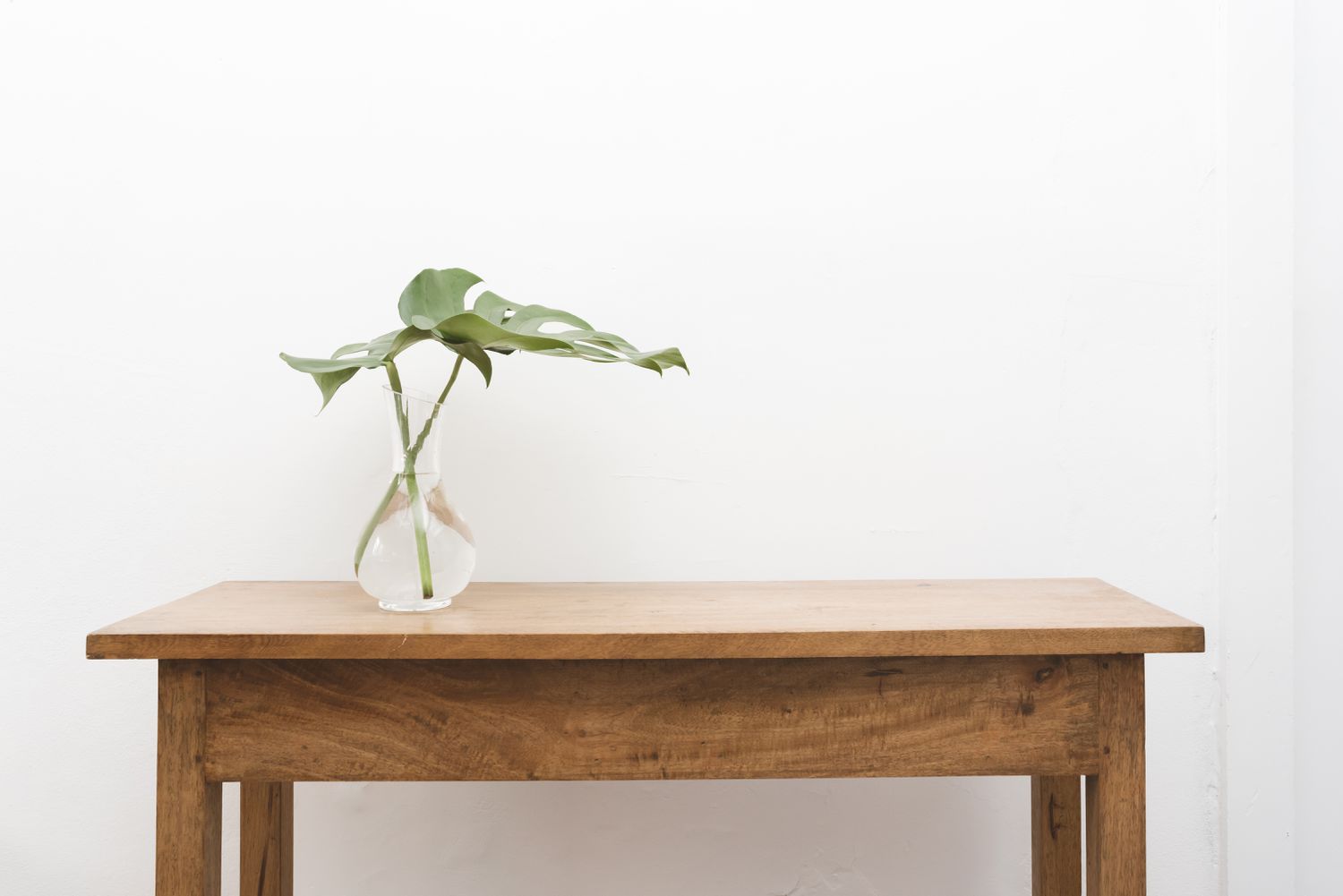 Monstera leaf in vase on sofa table against wall