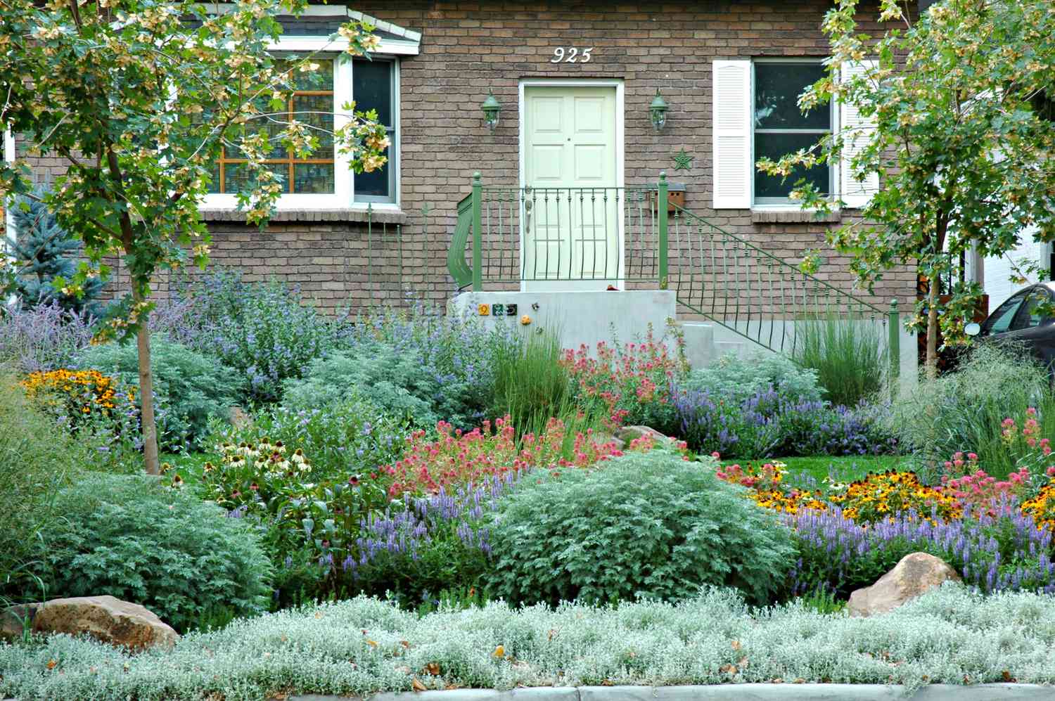 ornamental grasses landscape