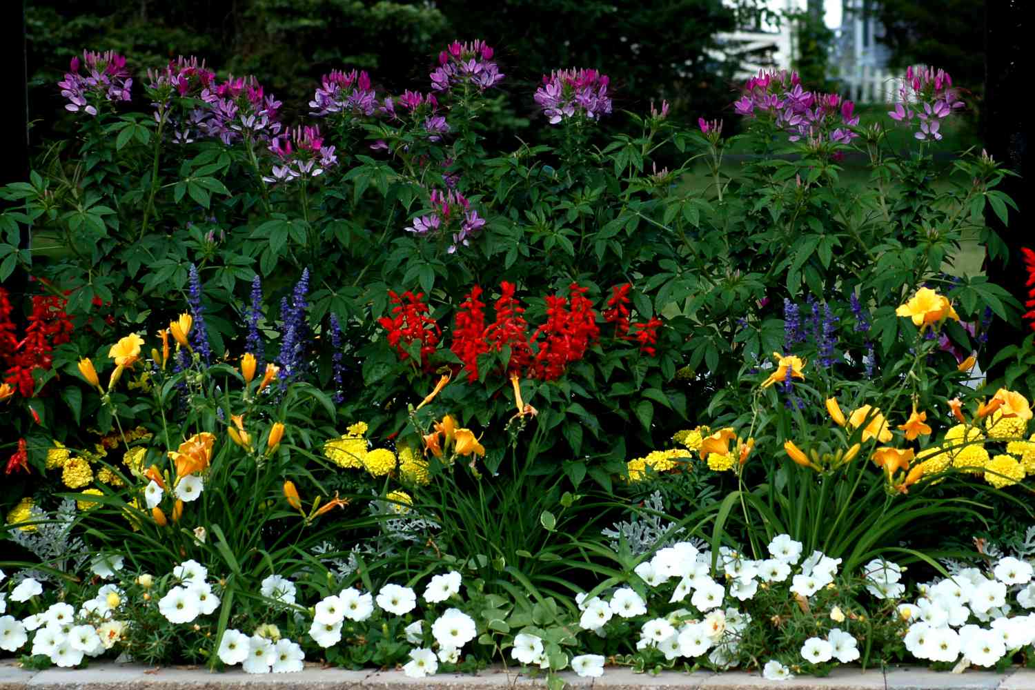 Geschichtete Blumenrabatten sehen hübscher aus. Außerdem stellen die hohen Pflanzen die kleinen nicht in den Schatten.