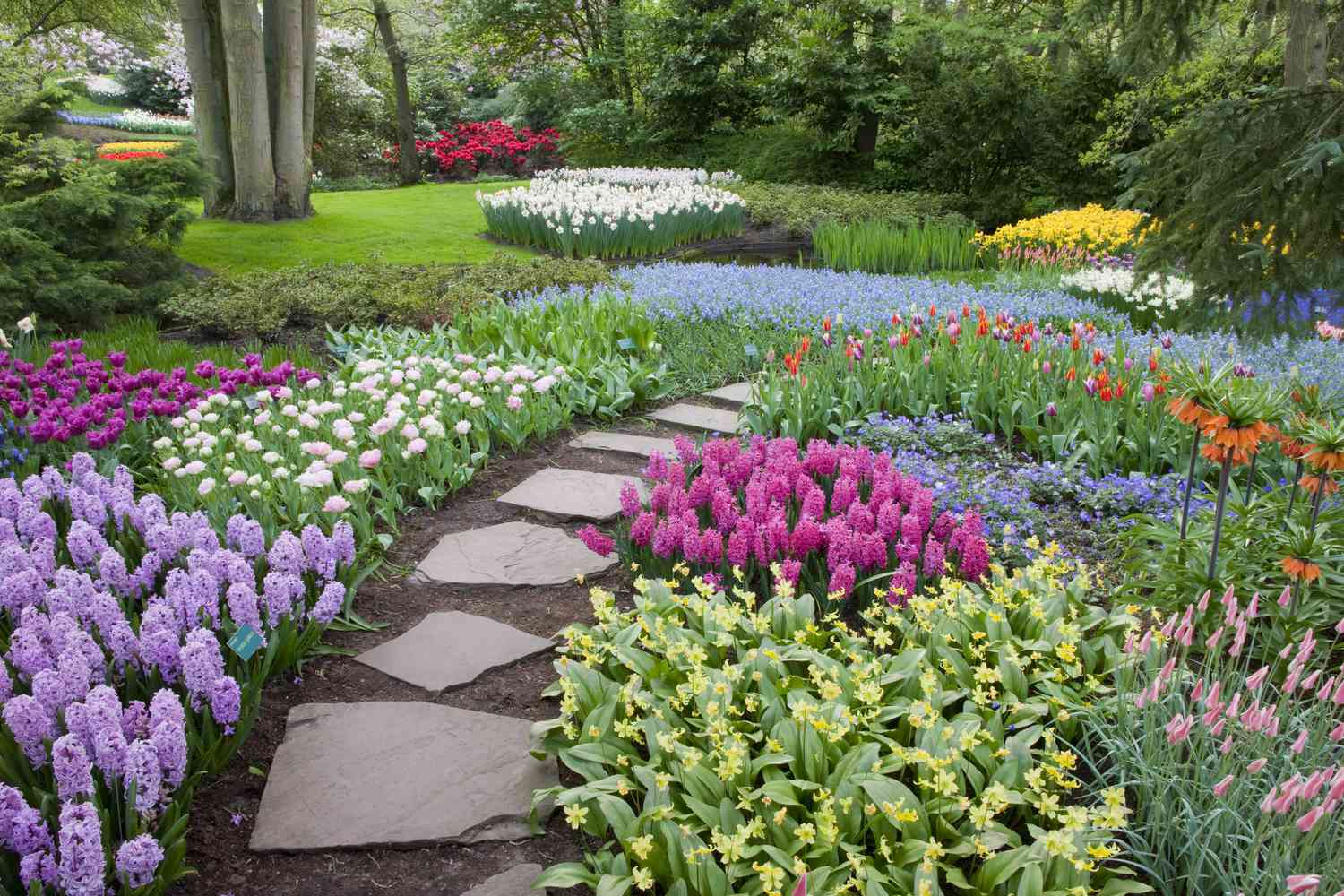 Los escalones de losa se curvan a través de macizos de flores primaverales.