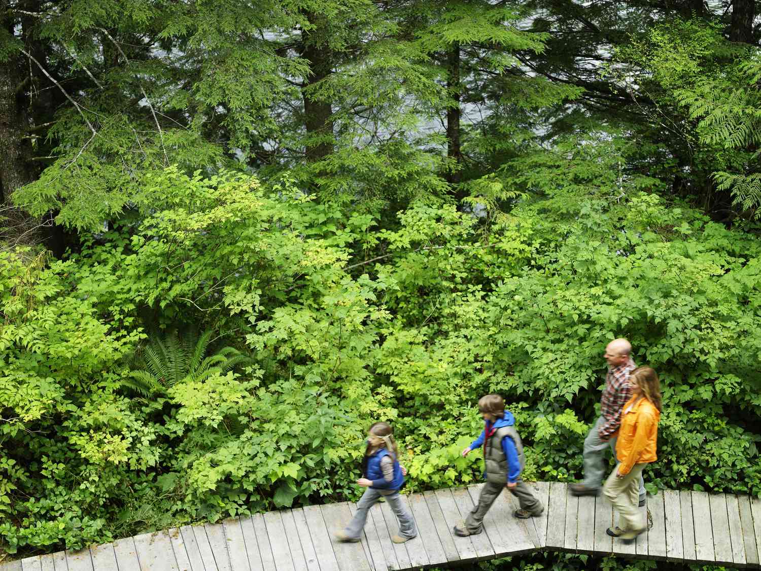 Familie spaziert auf Weg durch Wald.