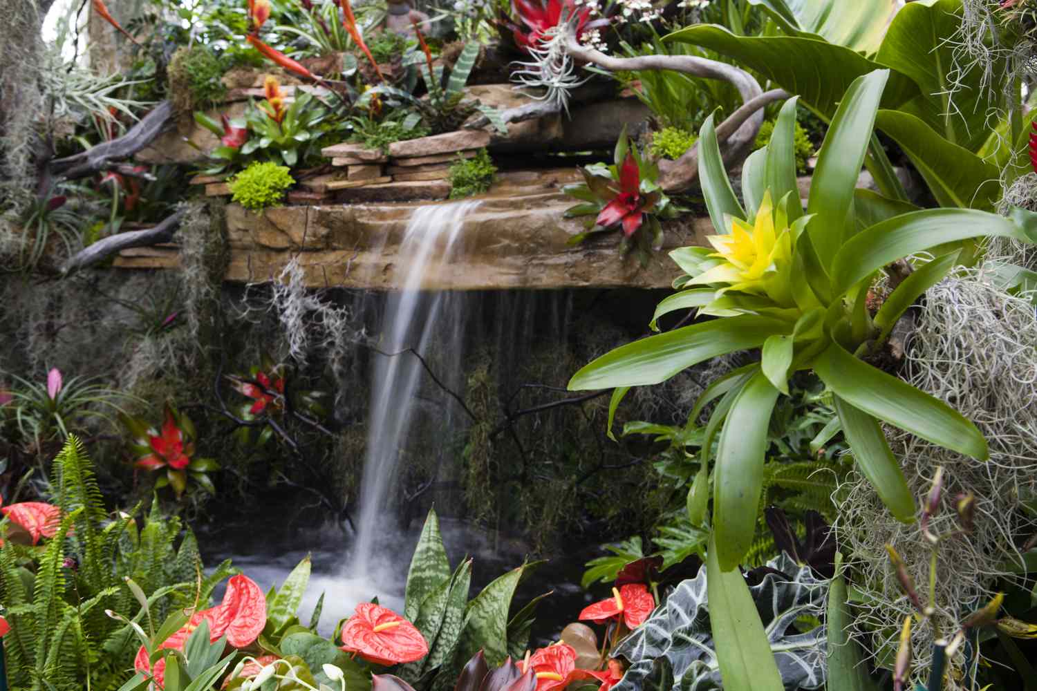 Tropischer Garten Wasserfall