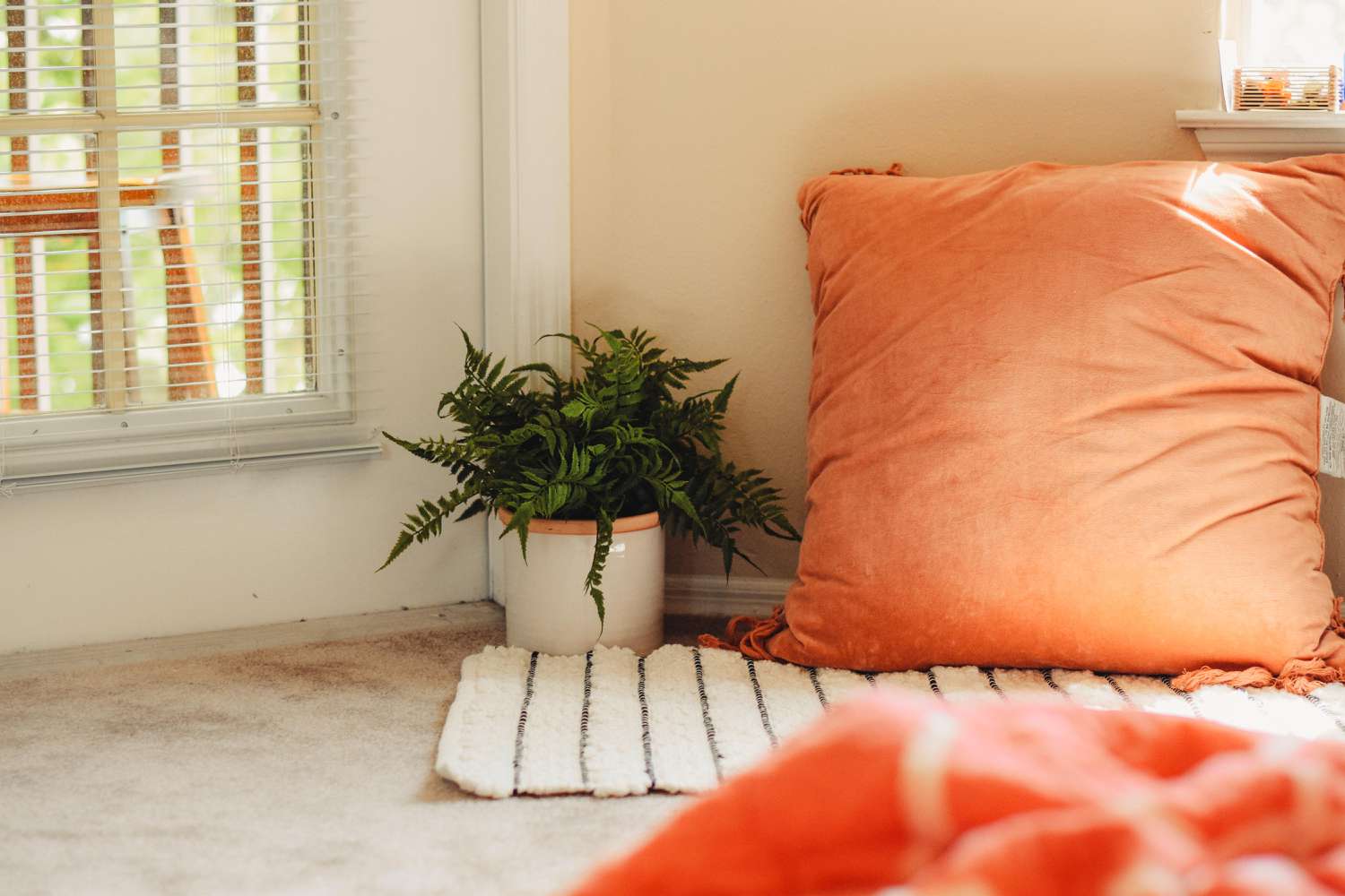 Oranges Kissen mit einer Pflanze in einem Zimmer mit Teppichboden