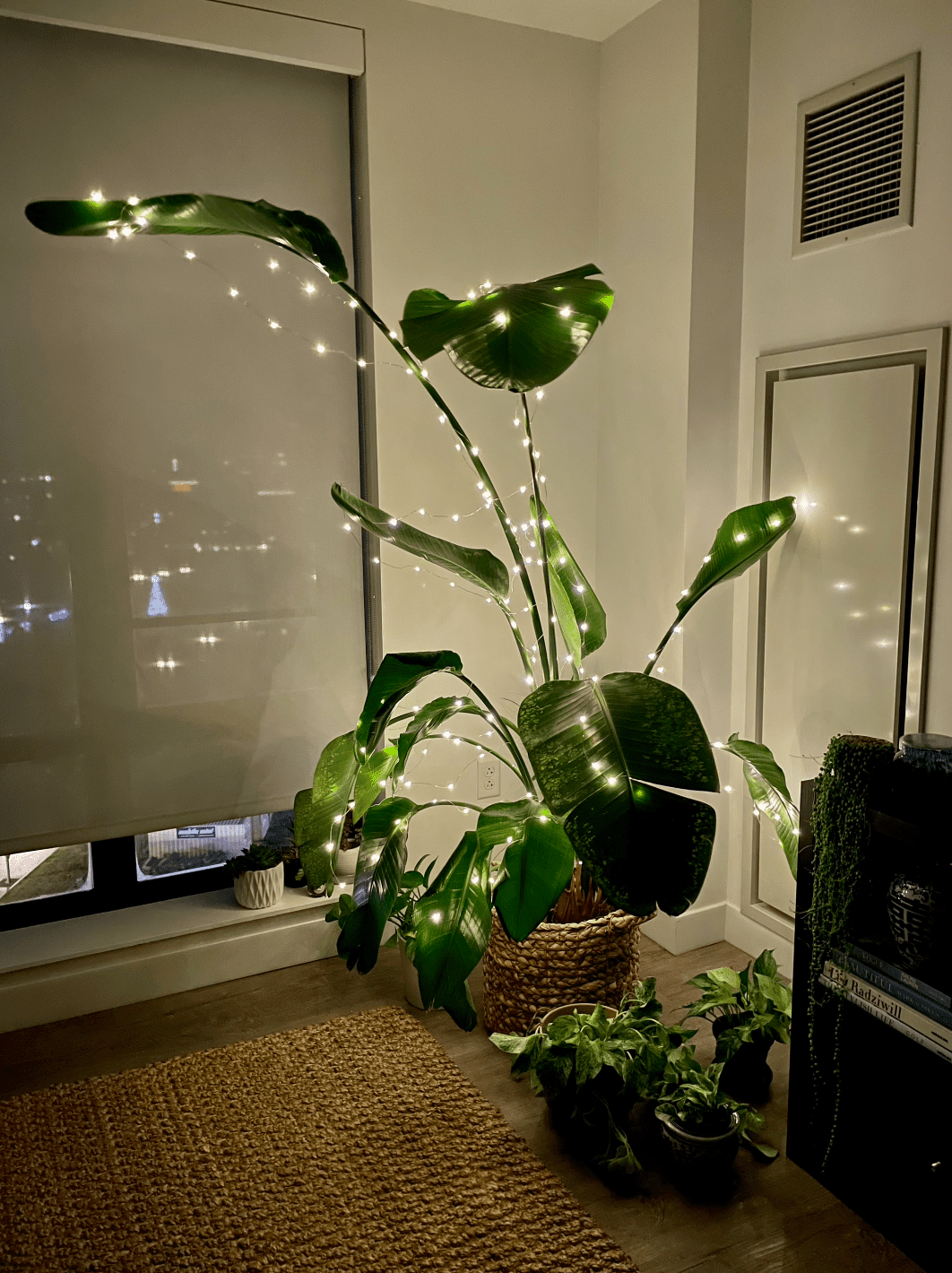 planta decorada com luzes para o Natal