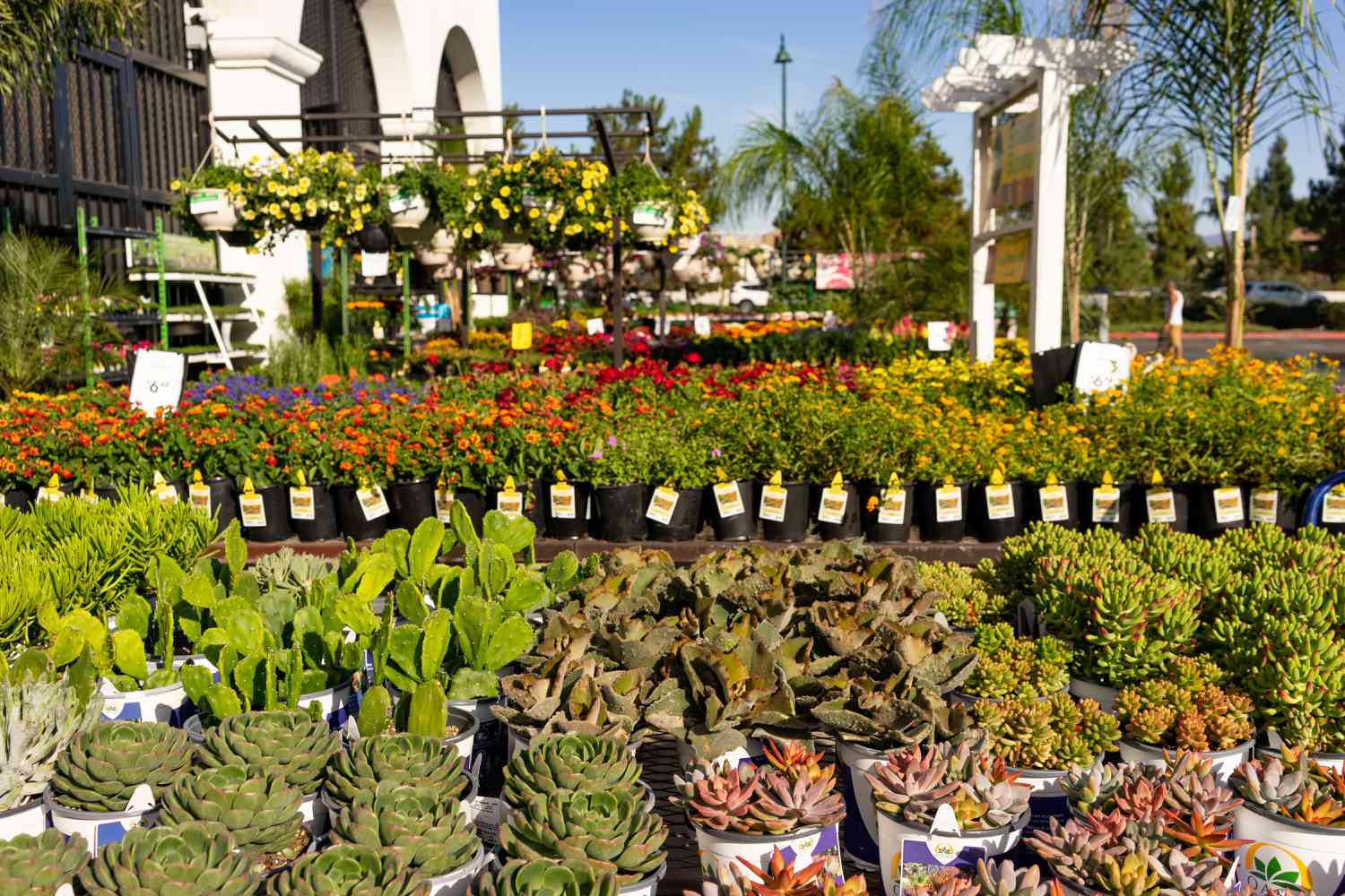 Gartengeschäft mit Pflanzen, die draußen zum Einkaufen aufgestellt sind