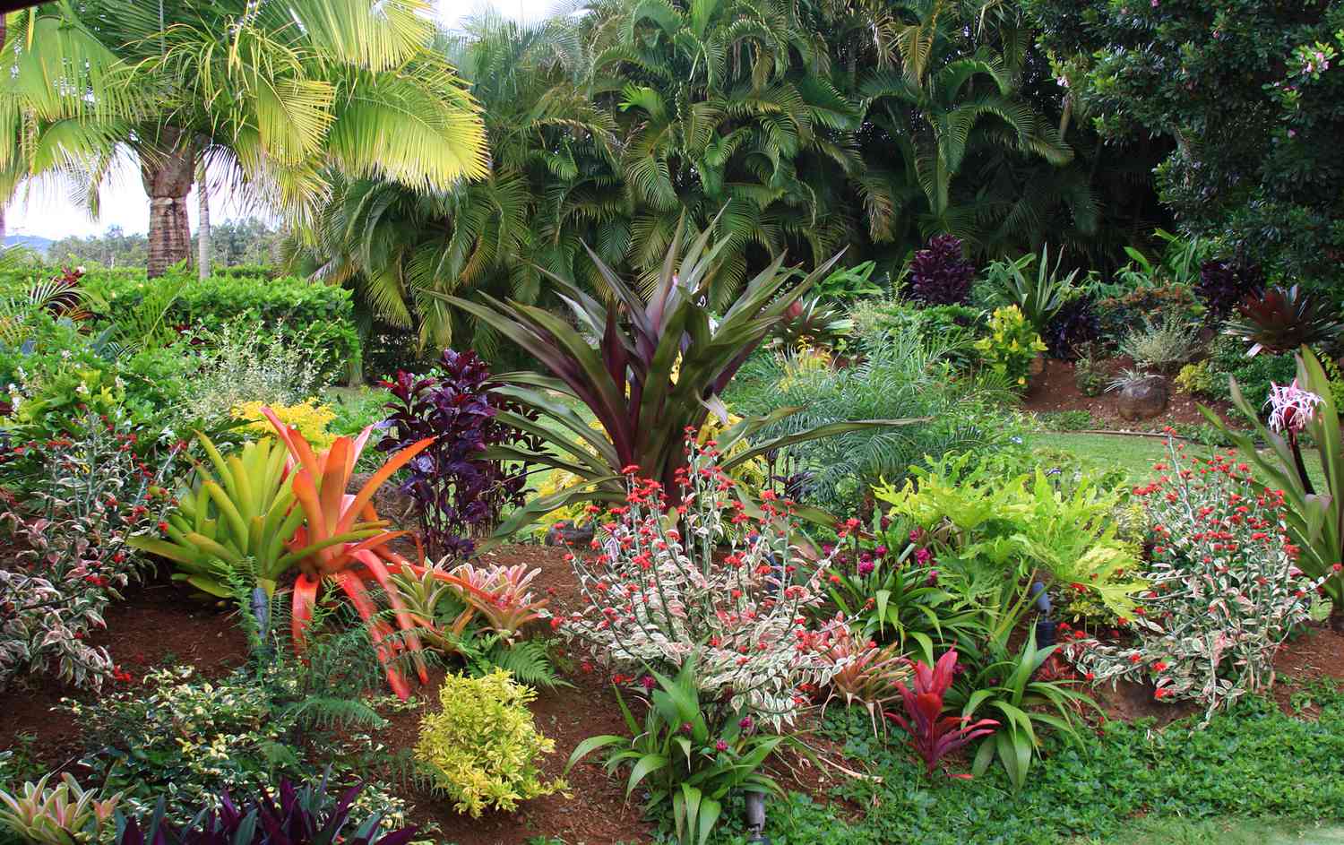 Tropischer Blumengarten auf Hawaii