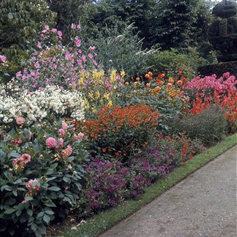 Cottage Garden