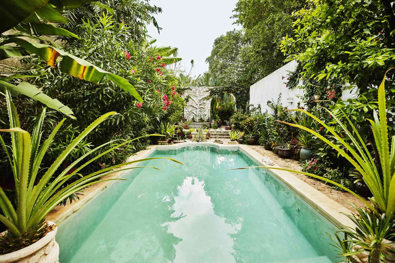 Uma variedade de vasos de plantas ao redor de uma piscina.