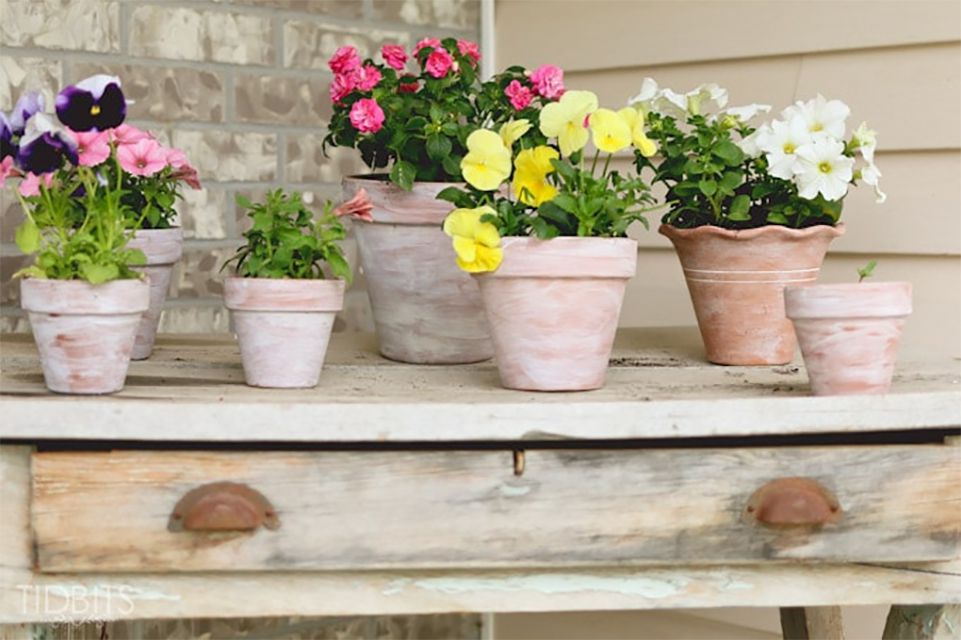 Une collection de pots de fleurs blanchis à la chaux