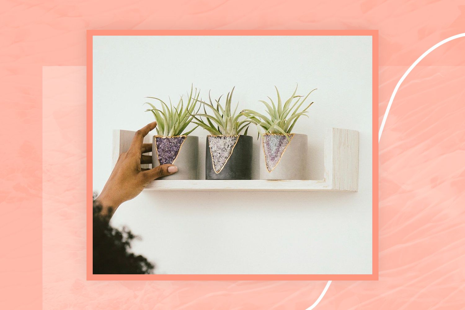 Uma coleção de vasos de plantas da loja Etsy Tal & Bert