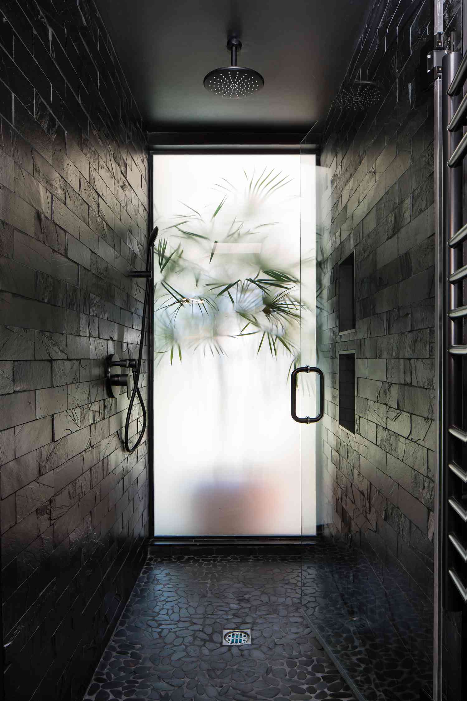 Black walk in shower space