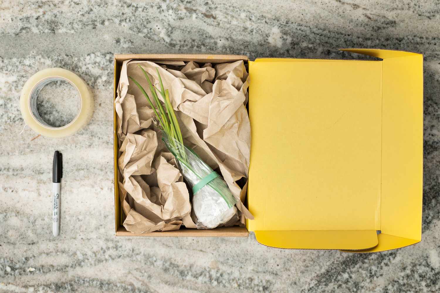 Extra space in box filled with packing paper around plant
