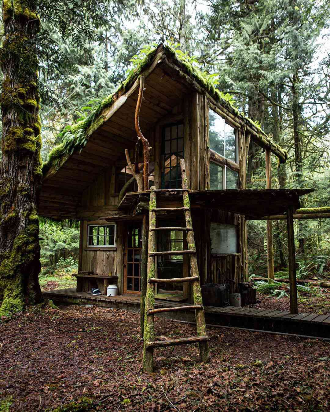 Casa na árvore rústica com escada de madeira do lado de fora