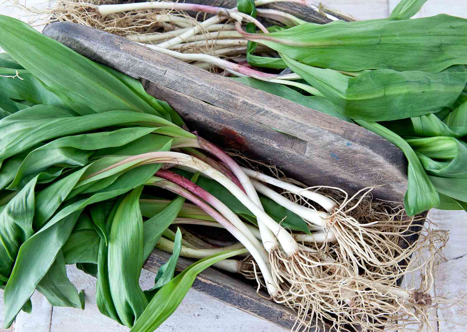 Ramps in a wooden box