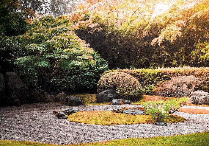 Herbstlicher japanischer Garten mit geharkten Kieswegen, Steinen und Sträuchern