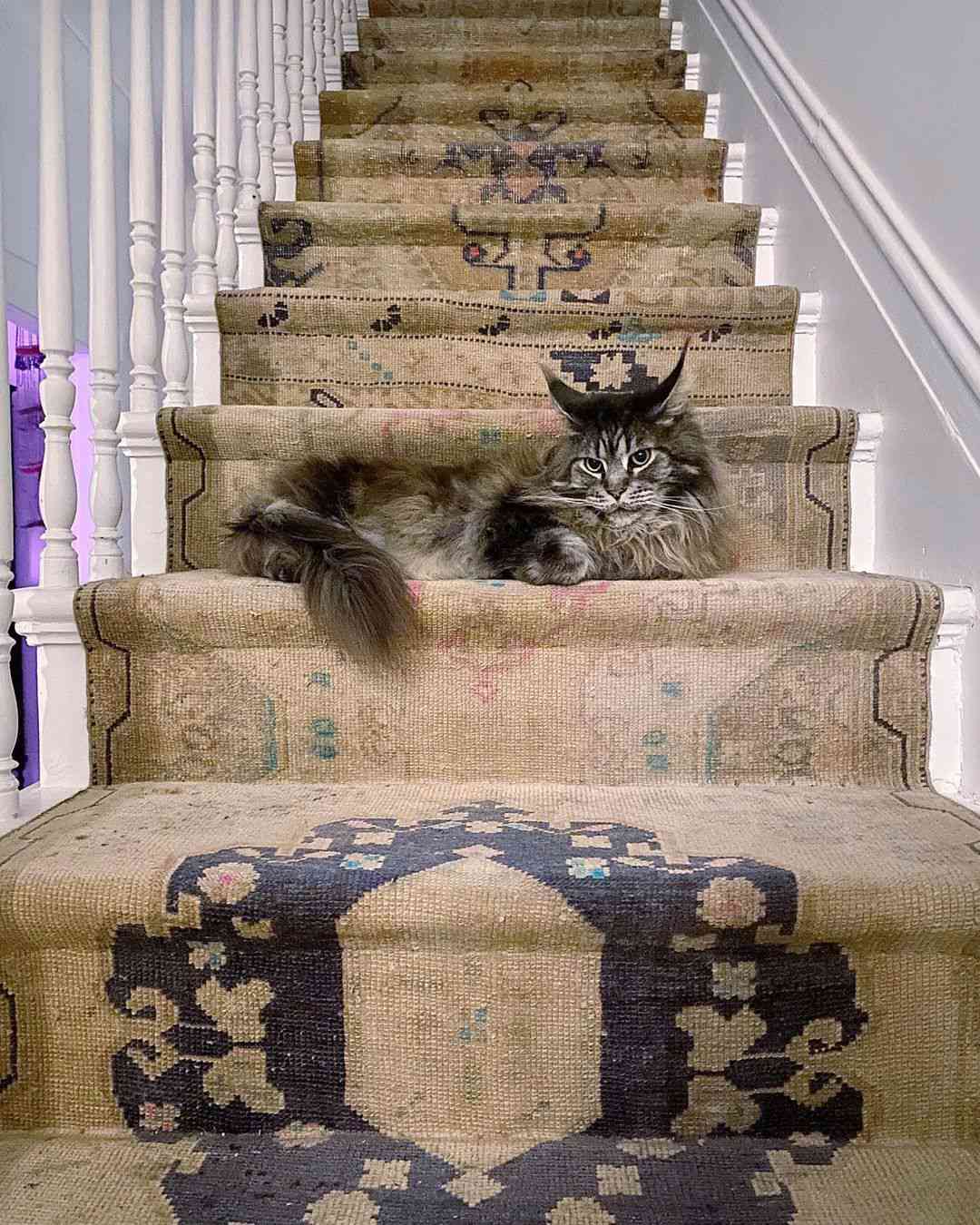 Vintage-Teppich auf Treppe 