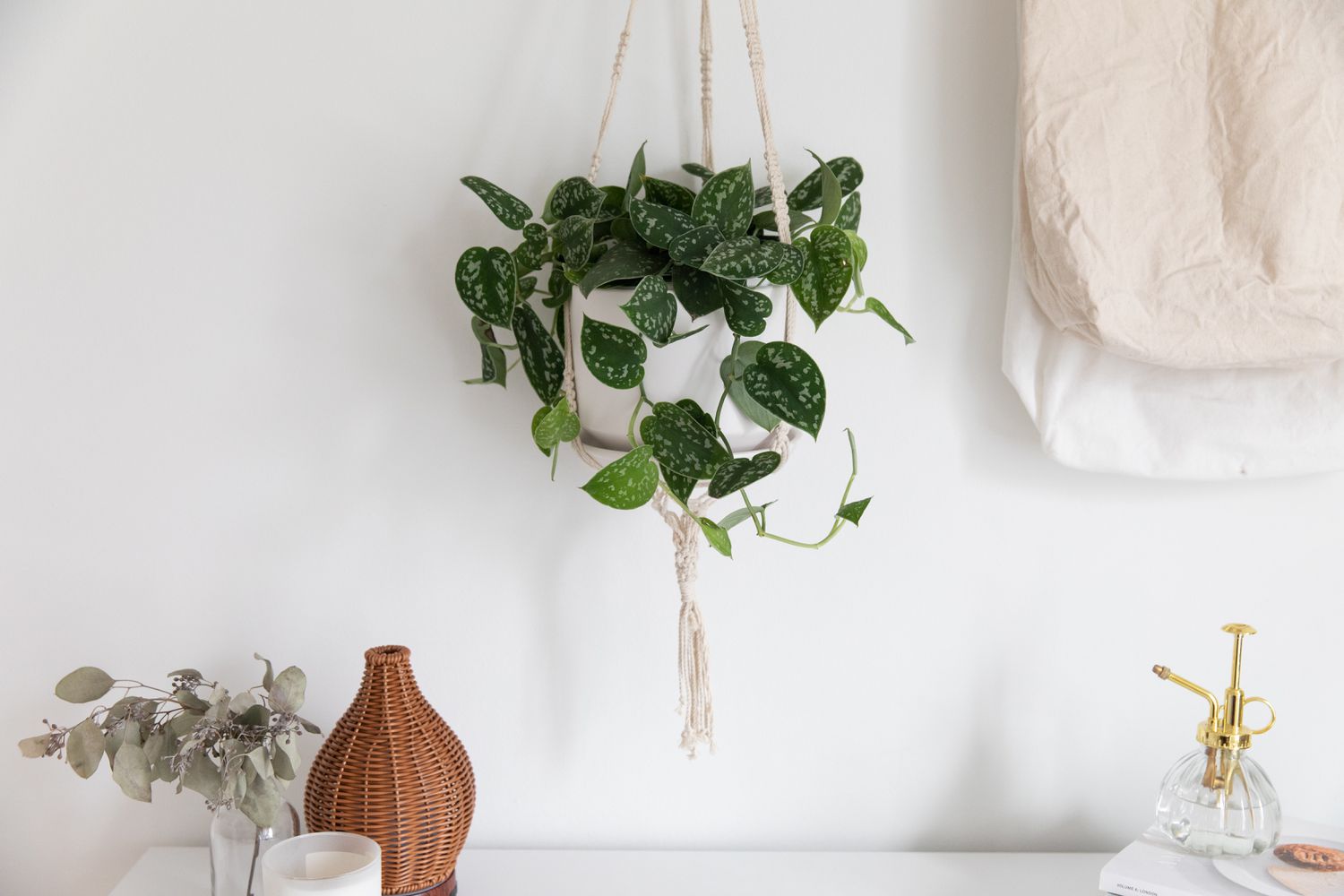 Satin pothos in white hanging planter over white desk