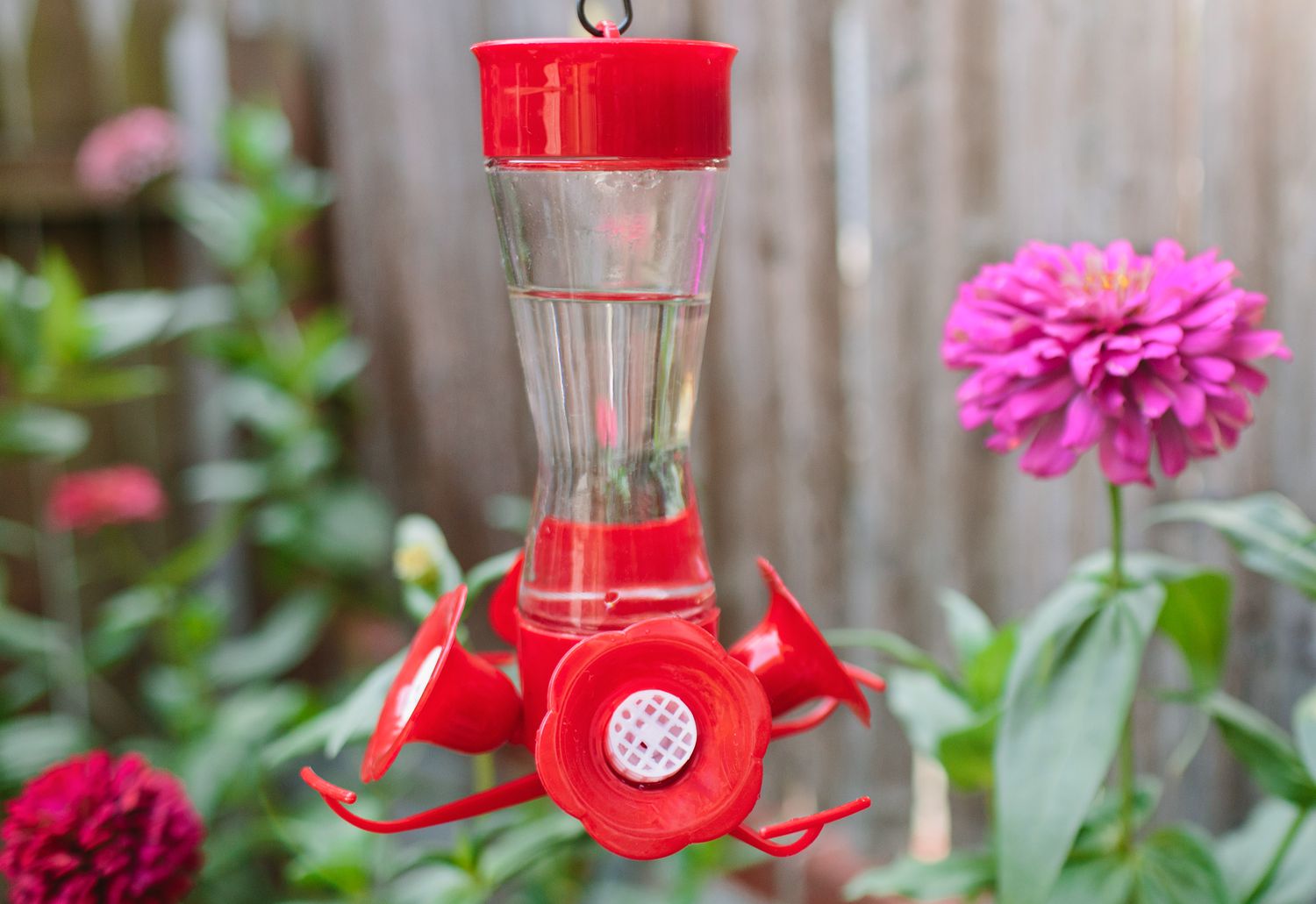 alimentador de colibríes en un jardín