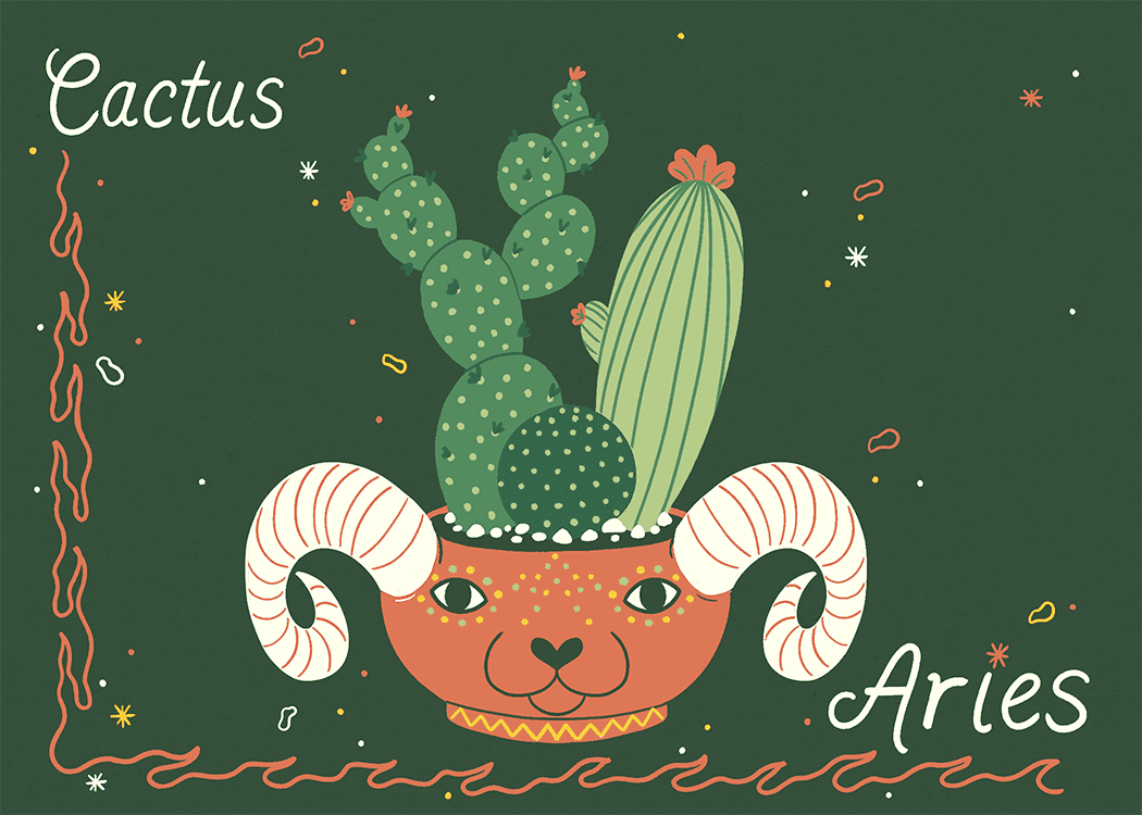 Ilustración del cactus de Aries