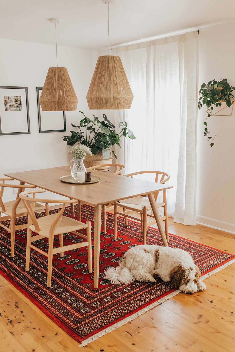 boho dining room pendants