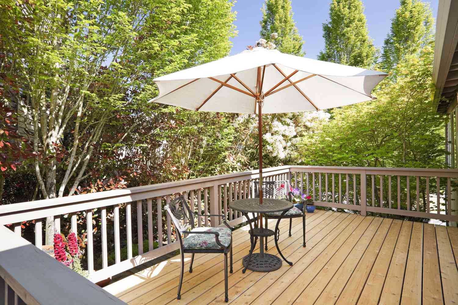 Outdoor Backyard Deck