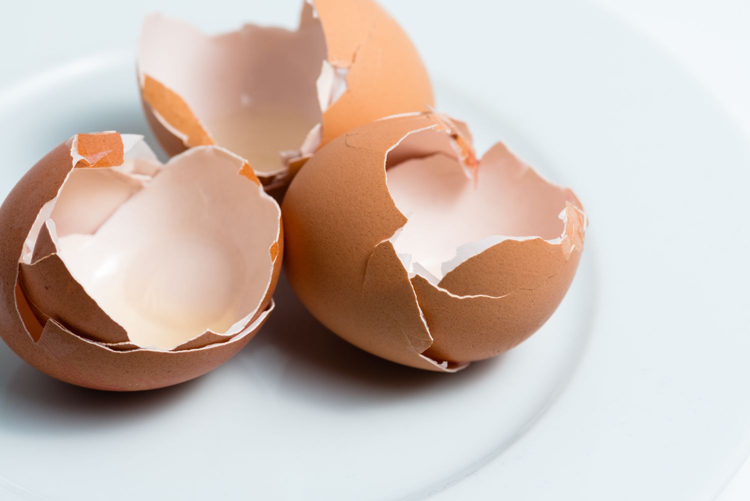 Zerbrochene Eierschalen auf einem weißen Teller