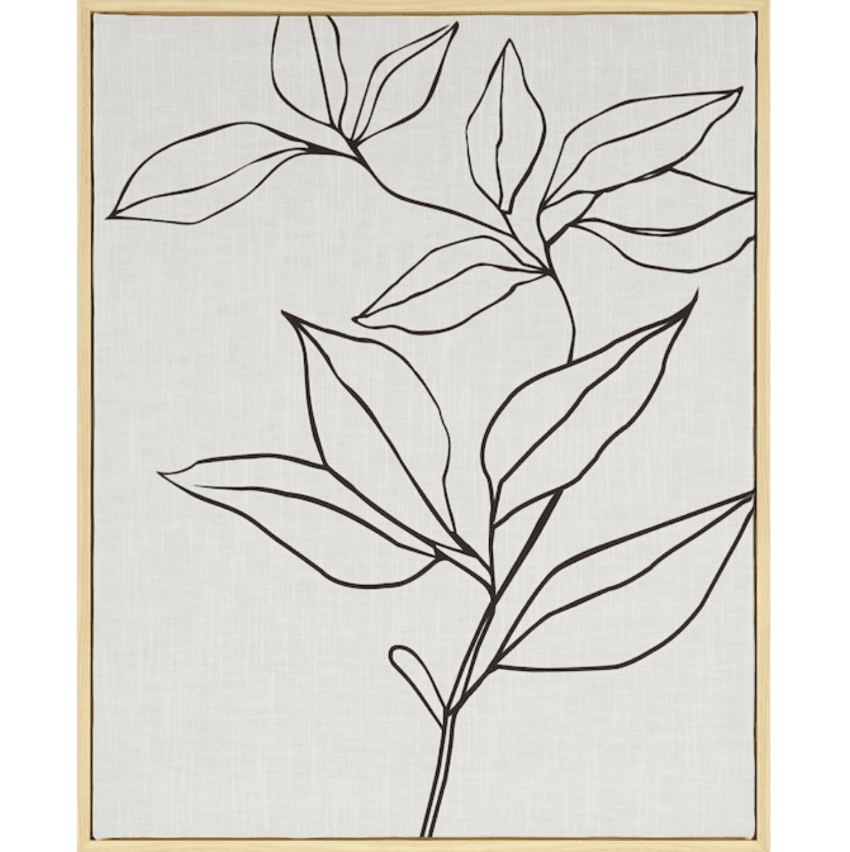 Una impresión botánica en un marco de madera