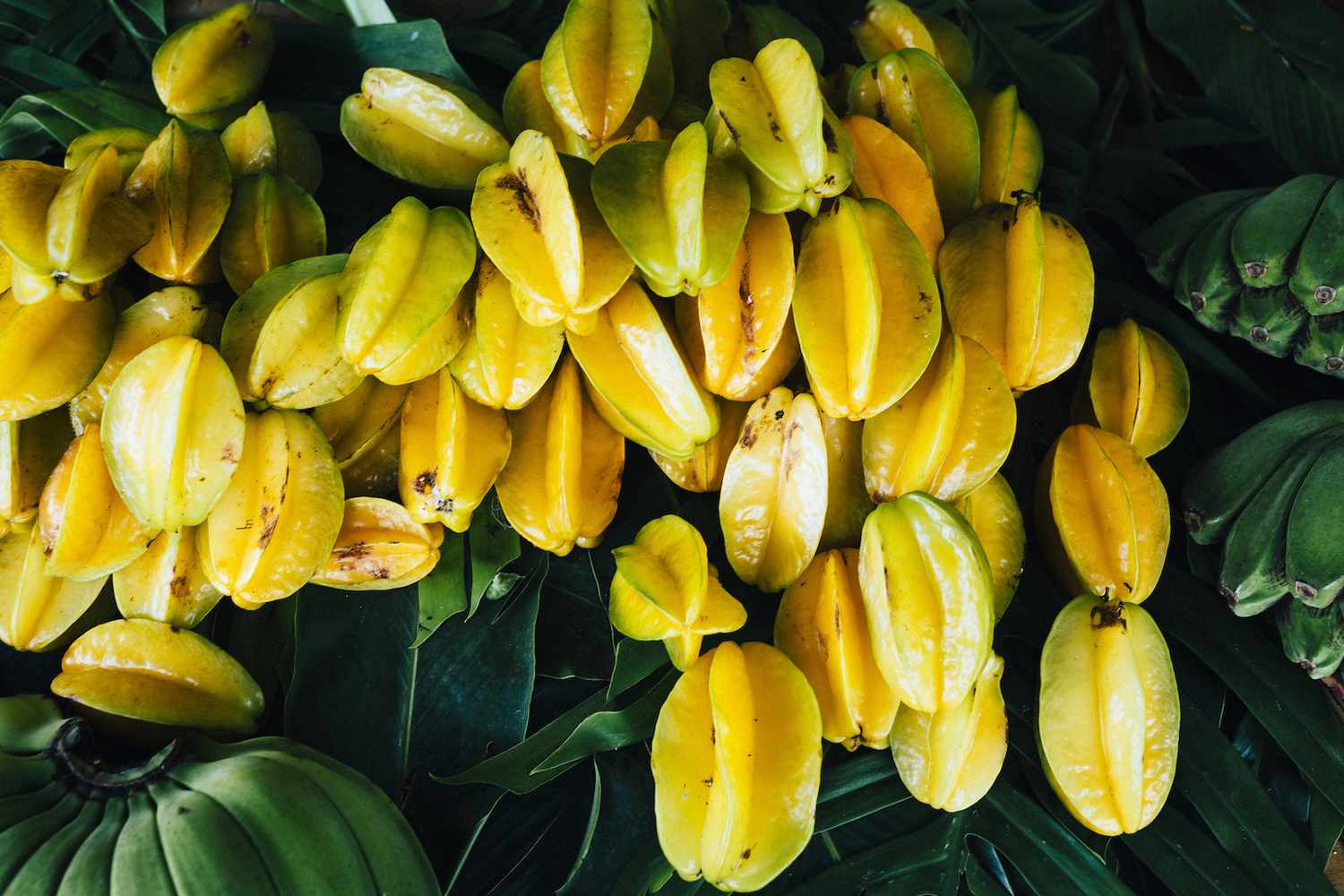 Starfruits ripening to bright yellow, dark green background