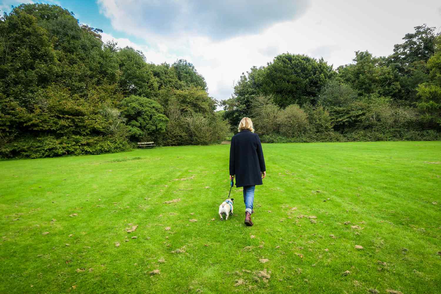 Frauen führen Hund im Park aus