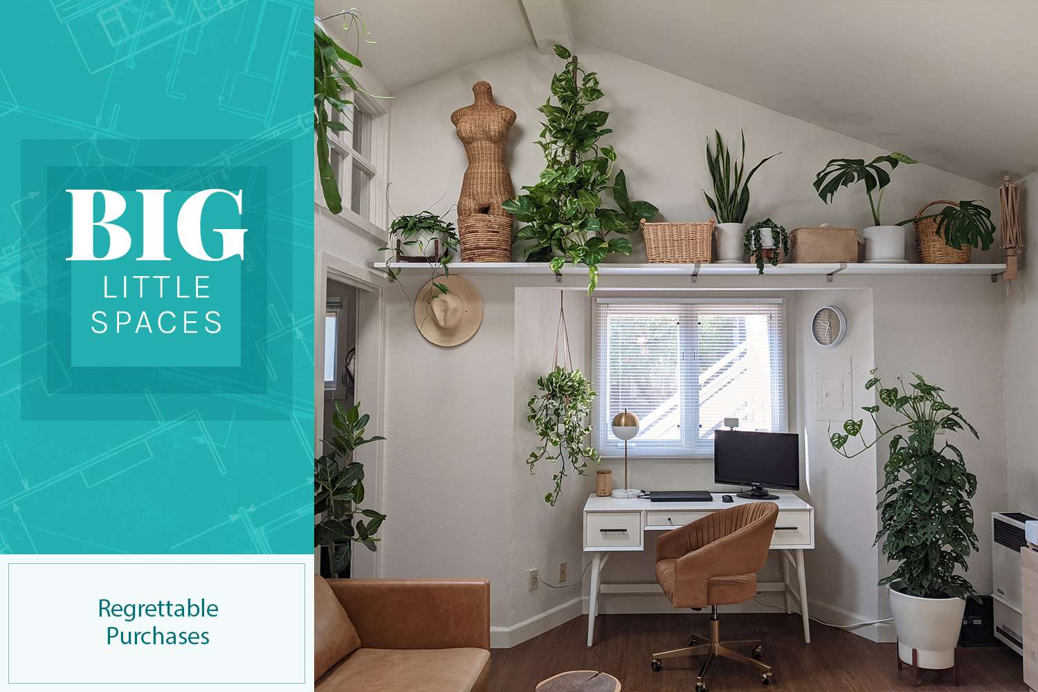Denise Bayron's tiny home includes many plants, some of which she regrets purchasing
