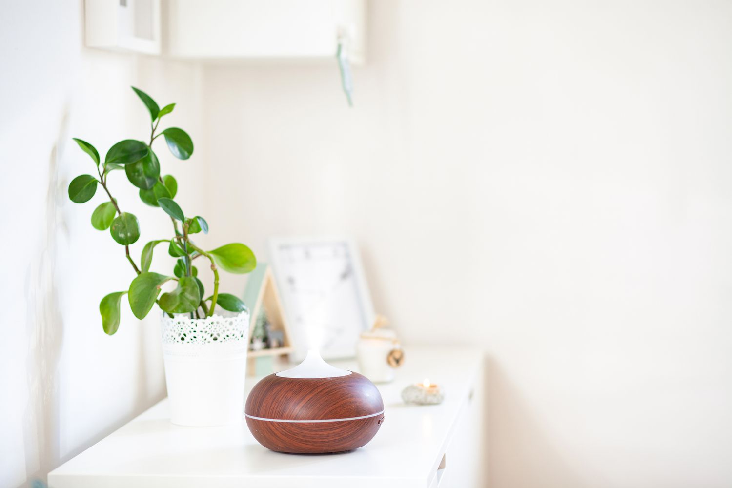 difusor de aromaterapia con una planta sobre una mesa en una habitación blanca