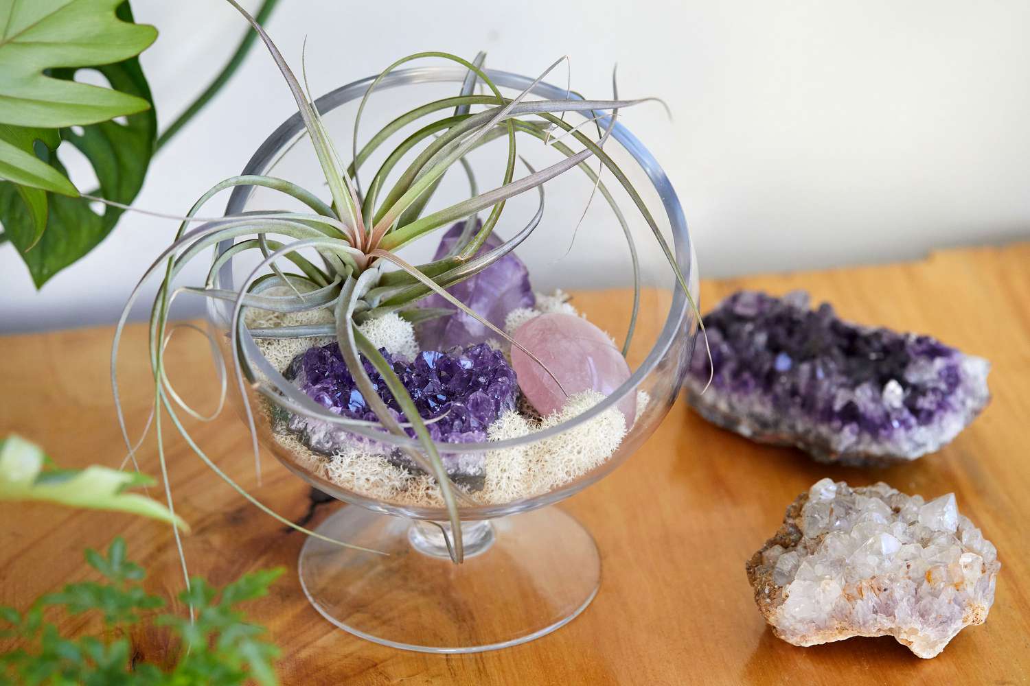 Airplant resting in clear bowl surrounded by crystals on wooden surface