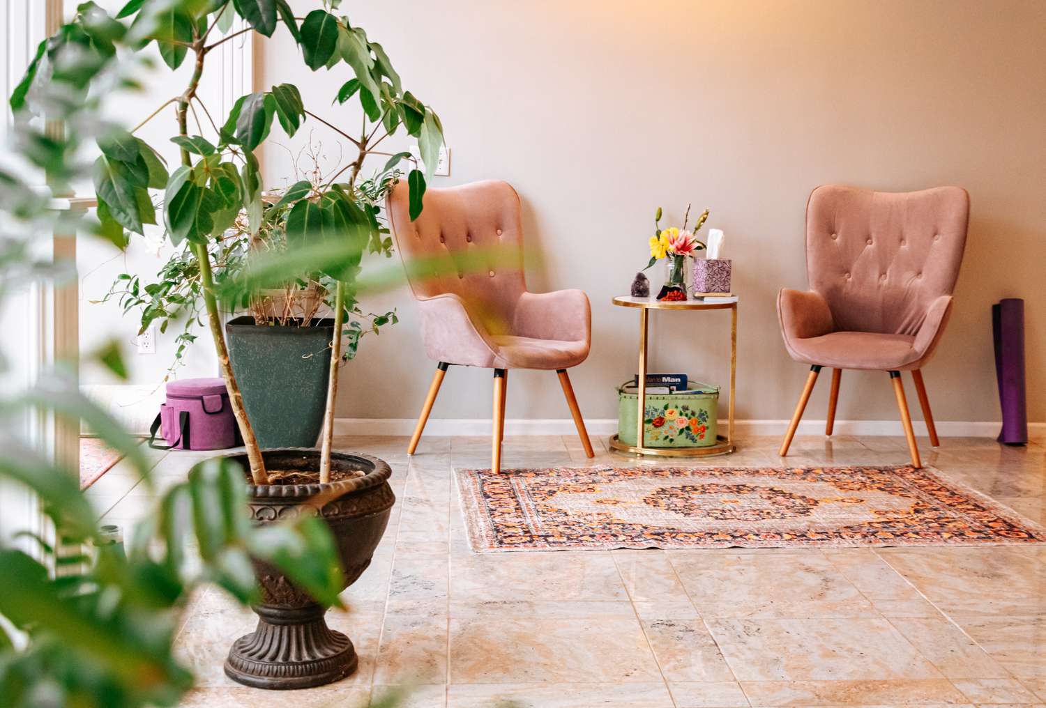 home interior with two pink chairs, a rug, and plants