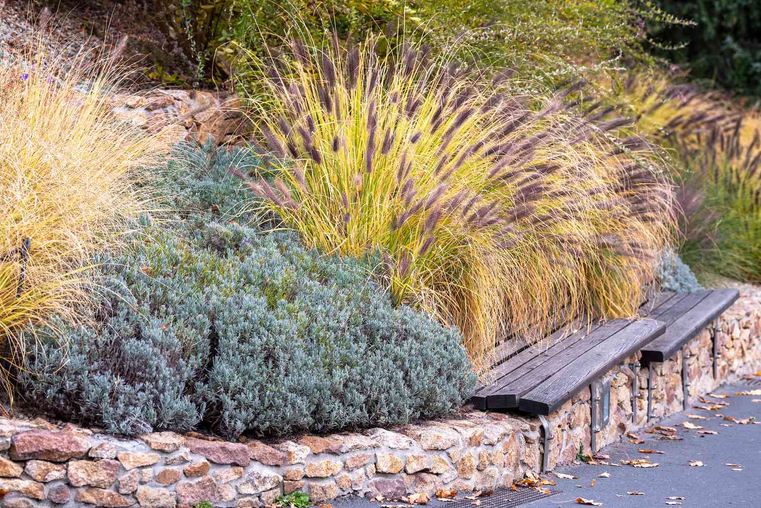 Hierbas ornamentales agrupadas detrás de un pequeño muro de ladrillo y un banco