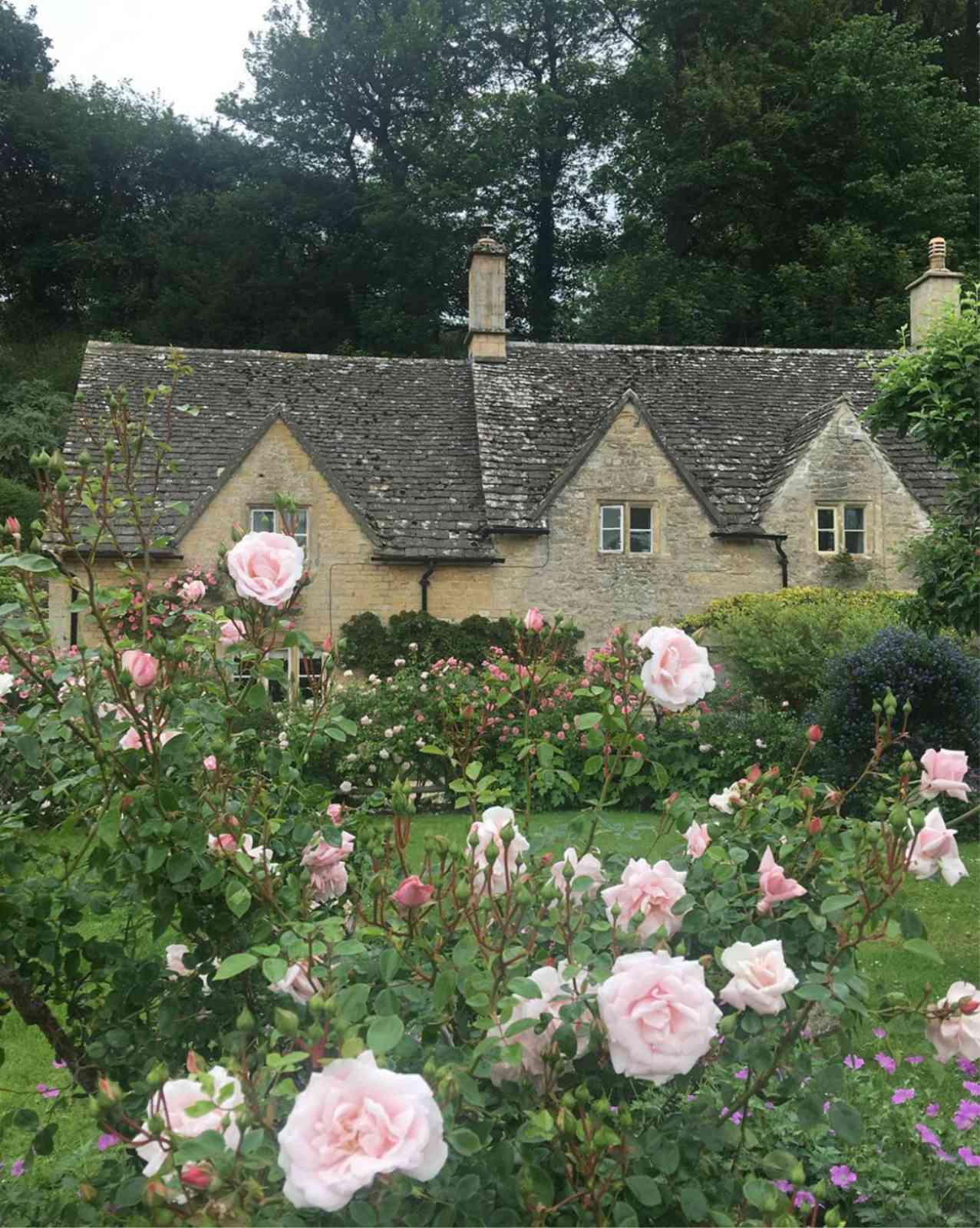 Bibury Cottage englisches Cottage und Rosen