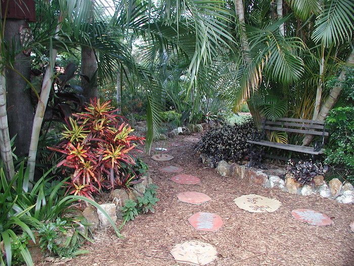 Palmeiras e plantas tropicais com banco e pavimentação