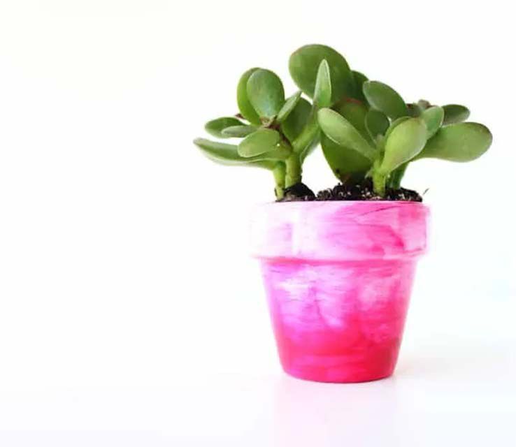 A pink pot