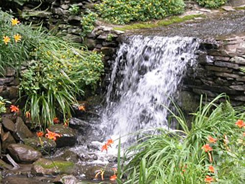 Gartenwasserfall mit Pflanzen in der Nähe.