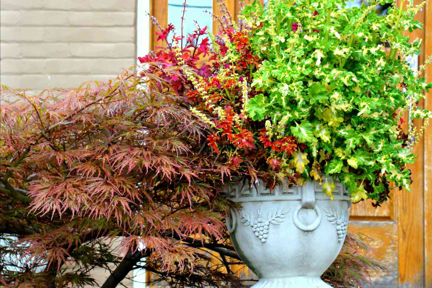 Fall container garden with Japanese maple