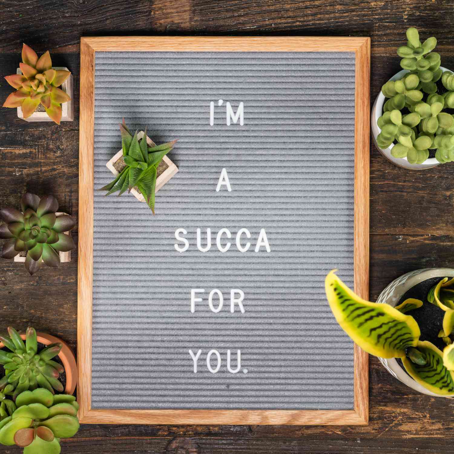 letter board quote: Ich bin ein Succa für dich