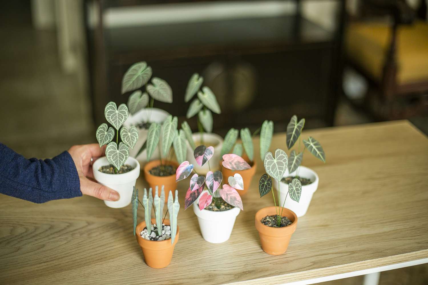 Jennie Lynns Papierpflanzen in Mini-Terrakottatöpfen