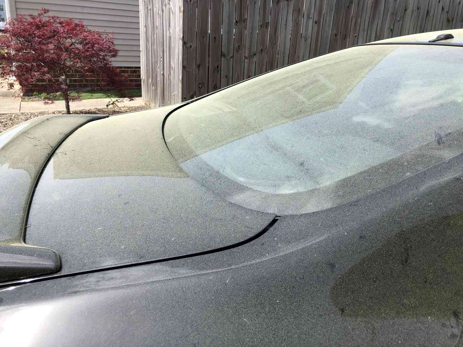 Pollen bedecken ein schwarzes Auto