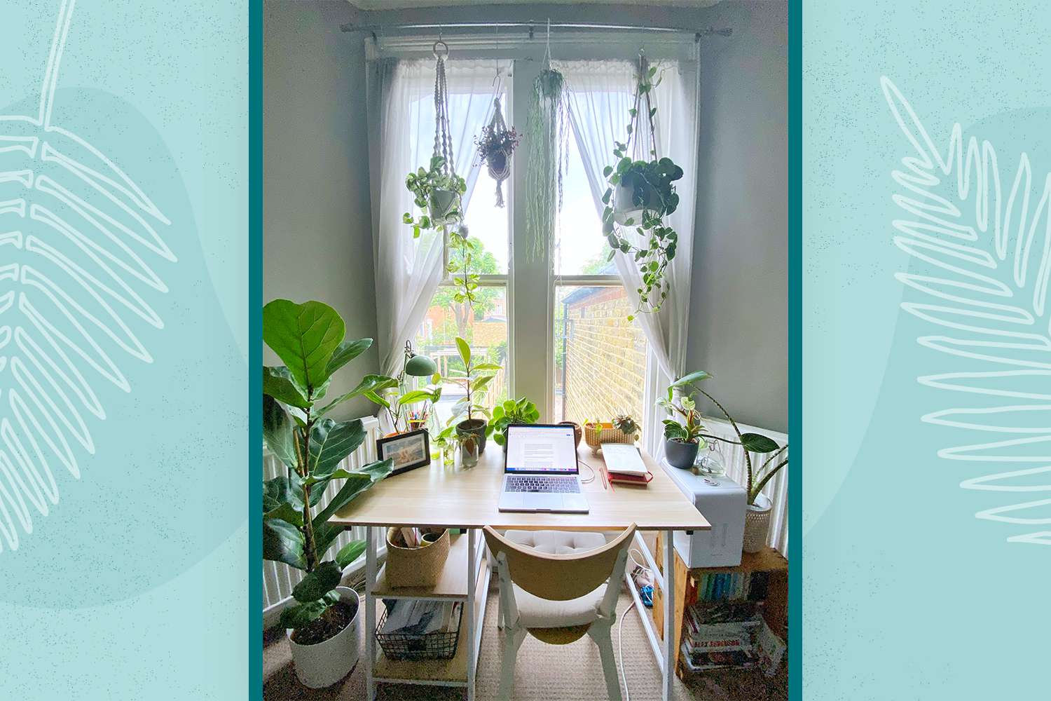 Taylor Fuller's desk with 14 plants