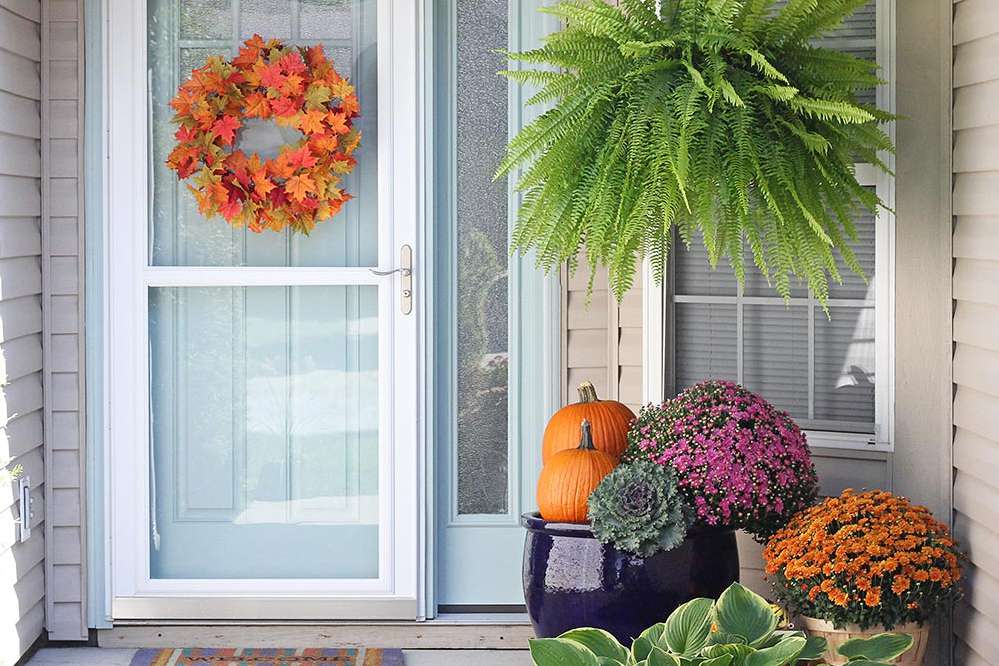 Bold Colorful Porch Large Plants