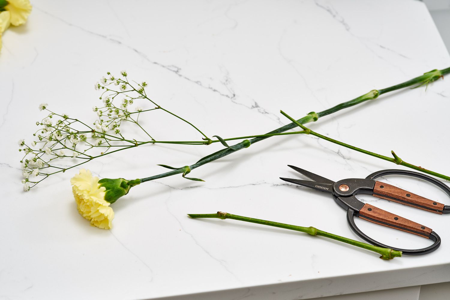 gardening scissors and flowers