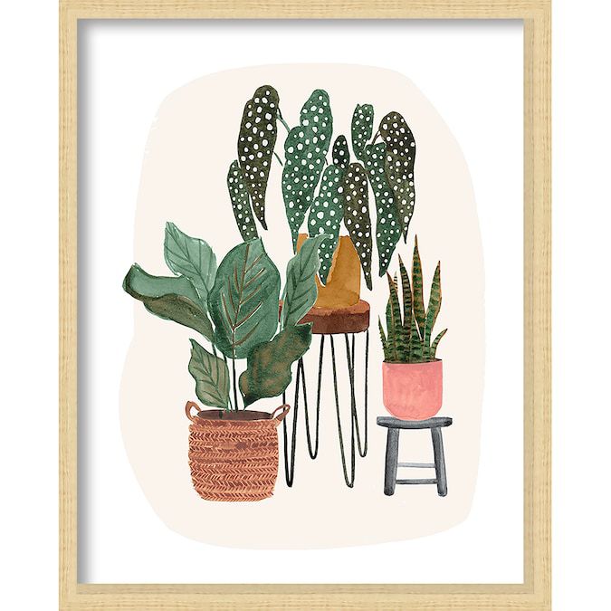 A framed print of houseplants