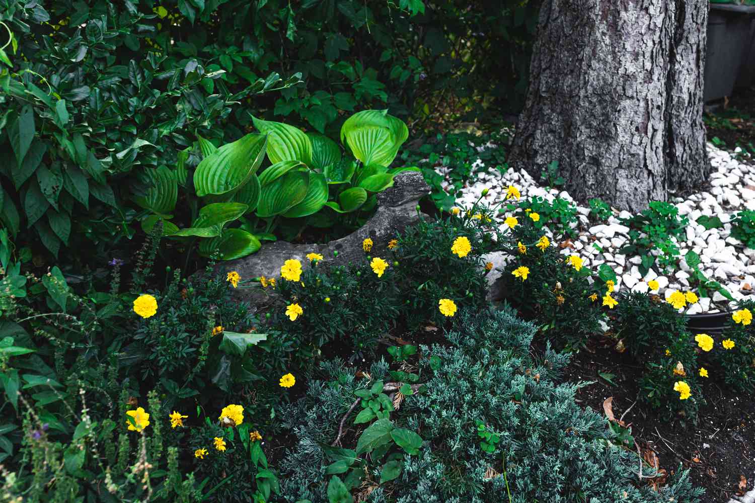 Ringelblumen im Landschaftsbau