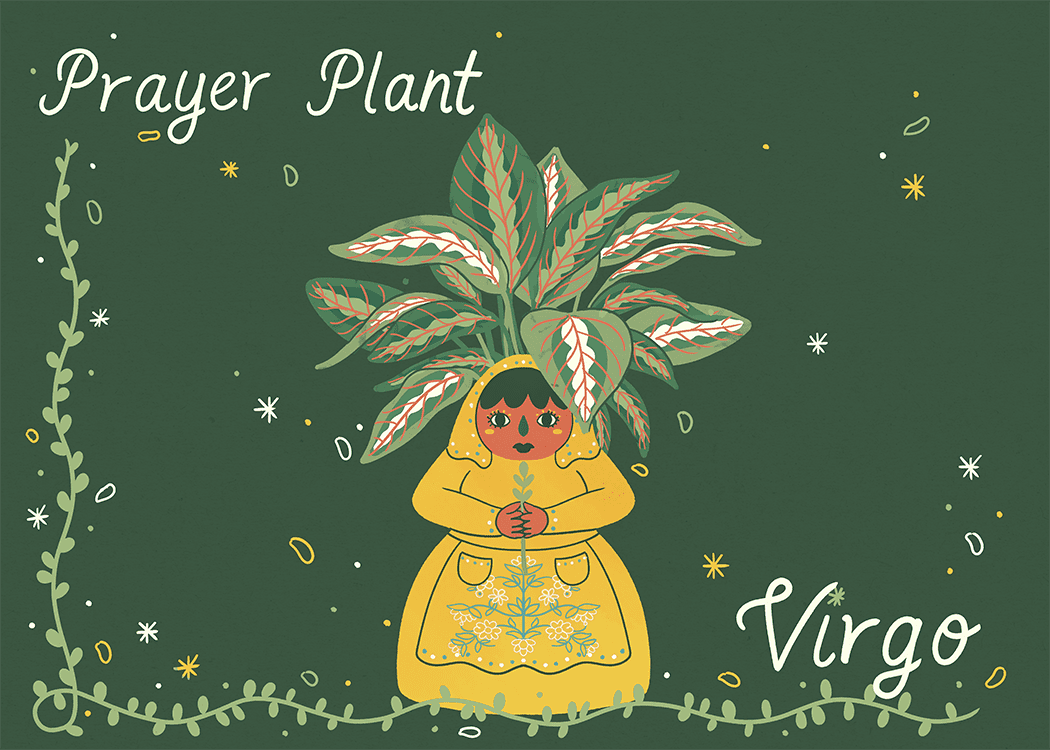 virgo planta de oración ilustración