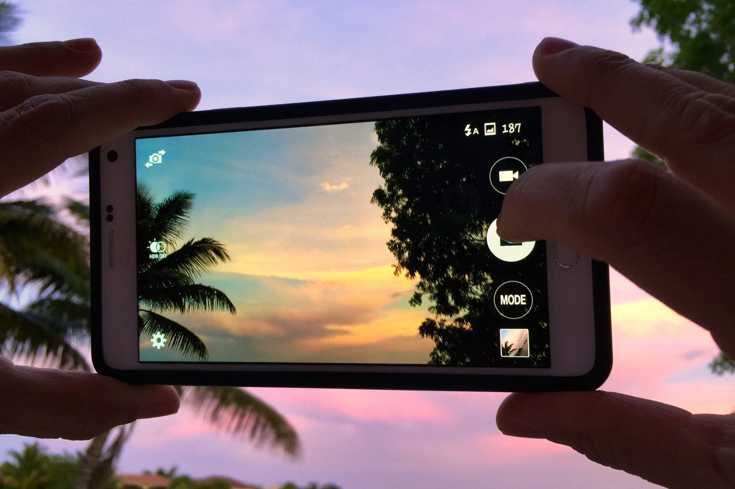 Hände auf einem Mobiltelefon, das den Himmel mit einer Palme bei Sonnenuntergang fotografiert